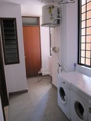 Four Seasons Park (D10), Condominium #114783132